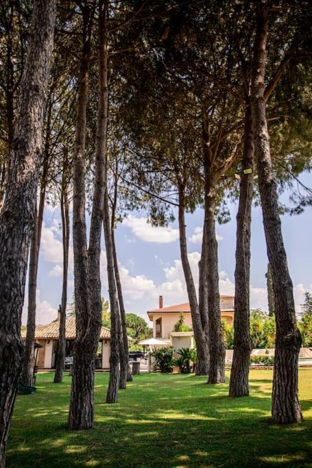 Villa Laoconte Piscina, Jacuzzi E Biliardo Canicattì Exteriör bild